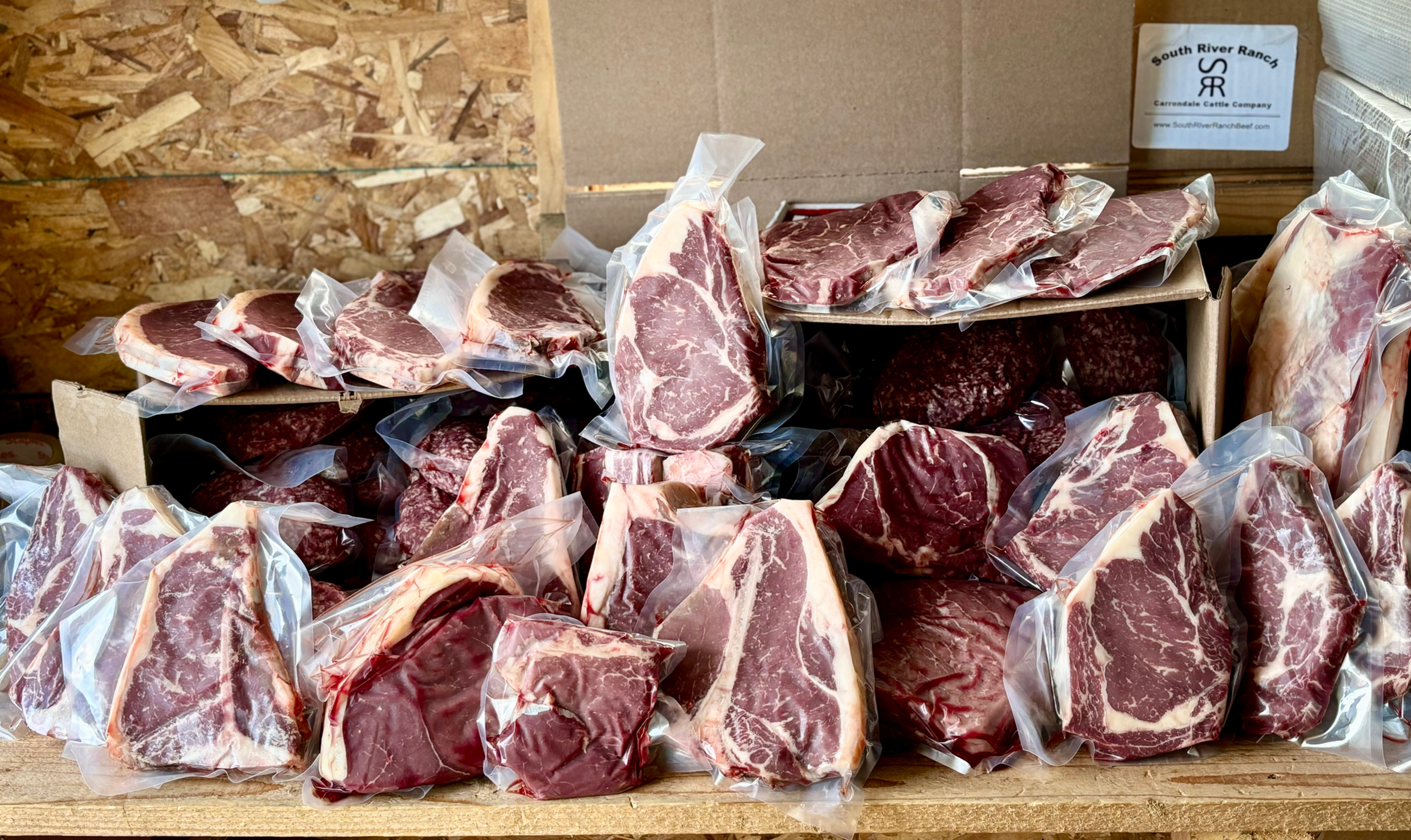 Full Steer (Deposit)