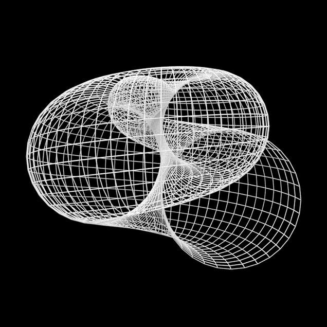 Octavating torus, Shell.gif