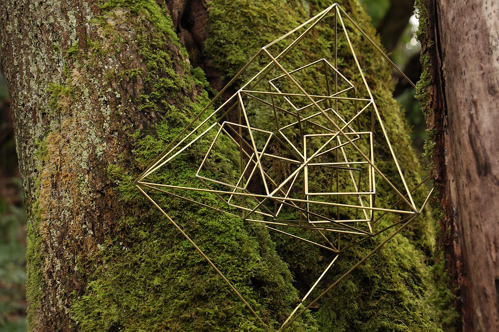 4 Cubes inside octahedron, tetrahedron, and hexahedron