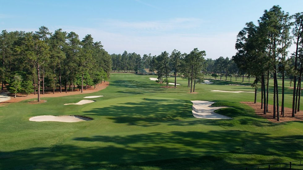 Golf Course with Pine Trees