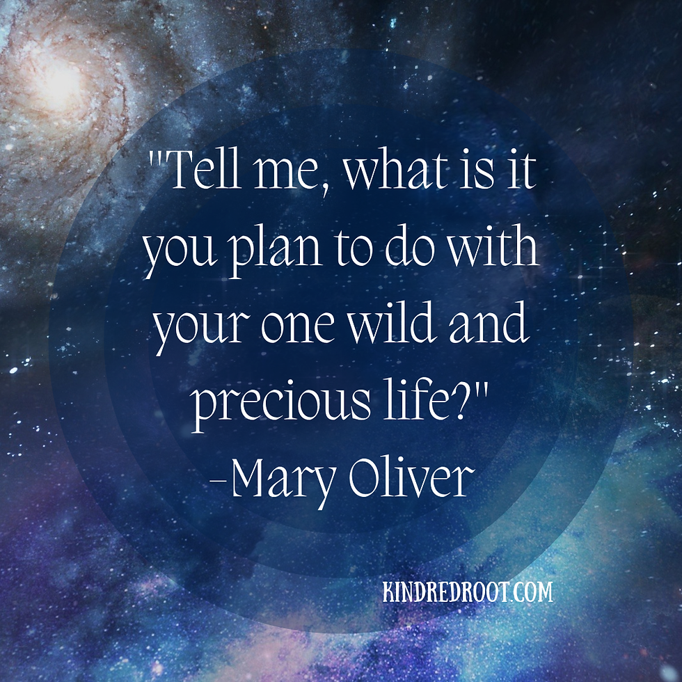 What will You Do?
