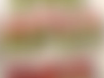 Quick, Easy, and Healthy Holiday Treats that are Christmas Party Ready!