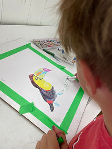TOUCAN.jpeg