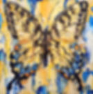 Tiger Swallowtail3.jpeg