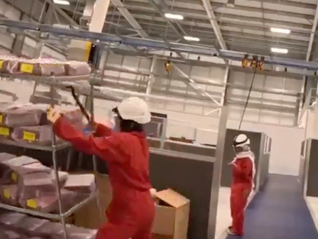 Pro-Palestine activists sentenced as terrorists over damage at Israeli arms factory in UK