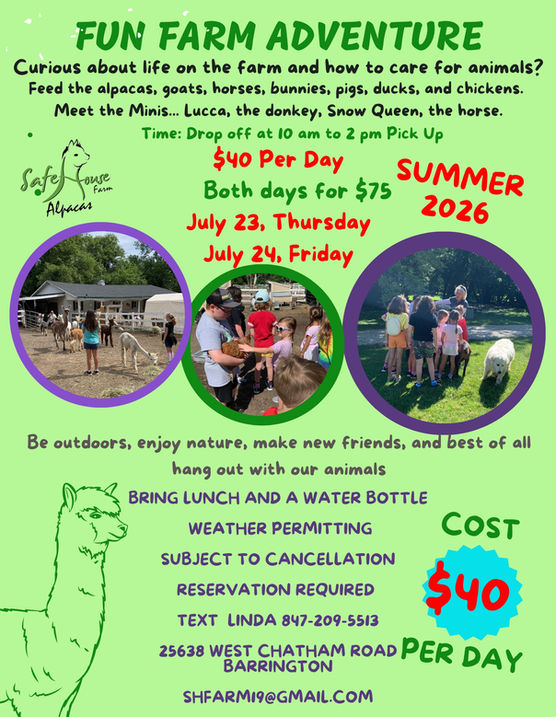 Kids Camp.jpg
