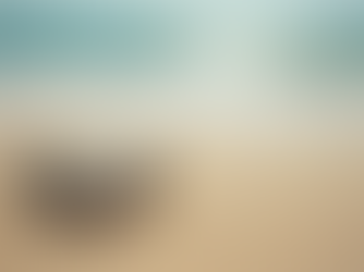 Aşkı Anlamak: İlknur Serkan’dan Tavsiyeler