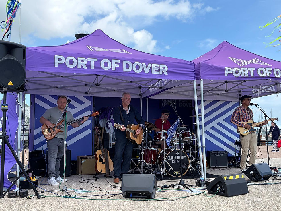 Crows rip through 29-song set at Music on the Curve at Dover Marina