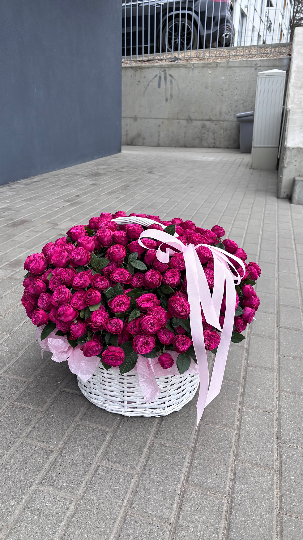 Kosz z malinowymi różami gałązkowymi „Dima Bombastic”