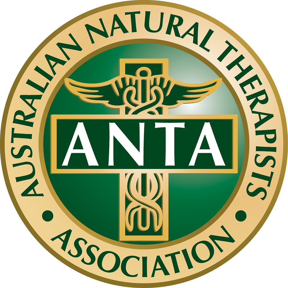 ANTA Logo CMYK