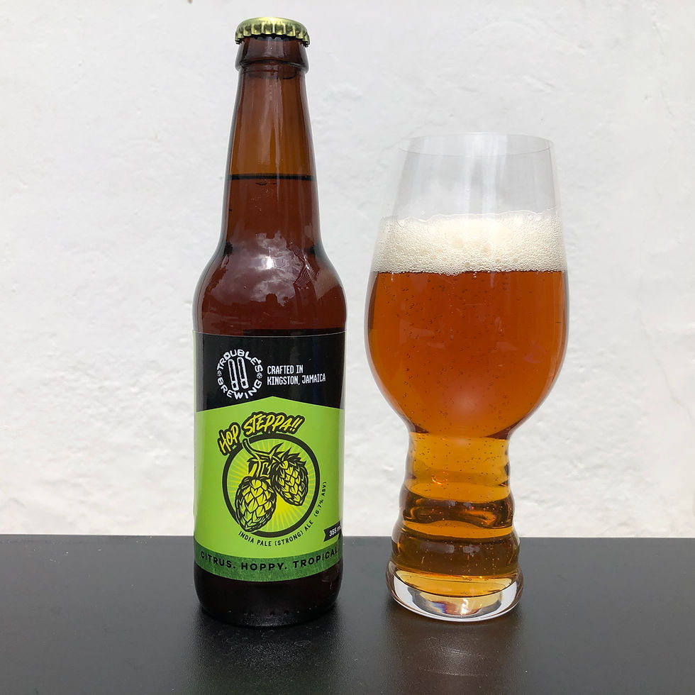 Trouble's Brewing Craft Beer - 6pk