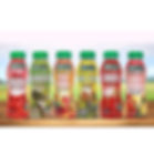 Tru-Juice Premium Fruit Juice - case/10