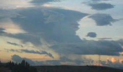 IMG-20211108-WA0010.jpg