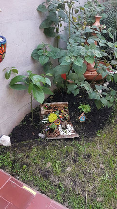 IMG-20211102-WA0114.jpg