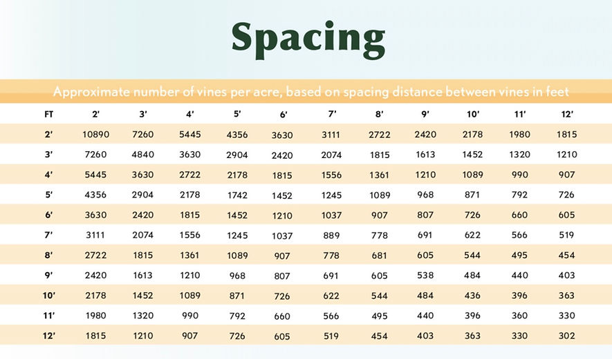 spacing.jpeg