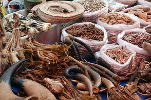 African+medicine+.jpg