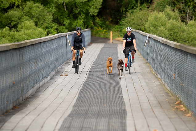 Screenshot 2025-11-06 at 3.17.16 PM.png