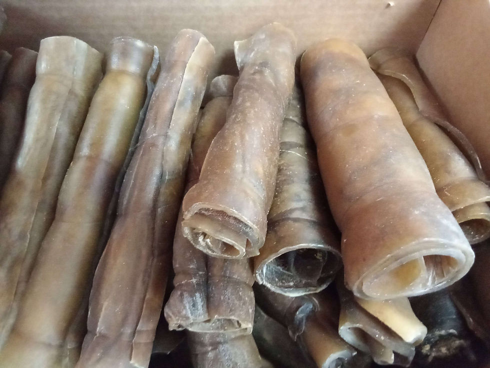 Thumbnail: Anco Camel Roll MEDIUM