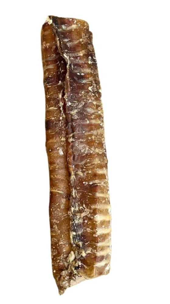 Beef Trachea