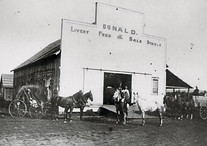 Donald Livery, Feed & Sales Stable