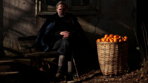 Tangerines