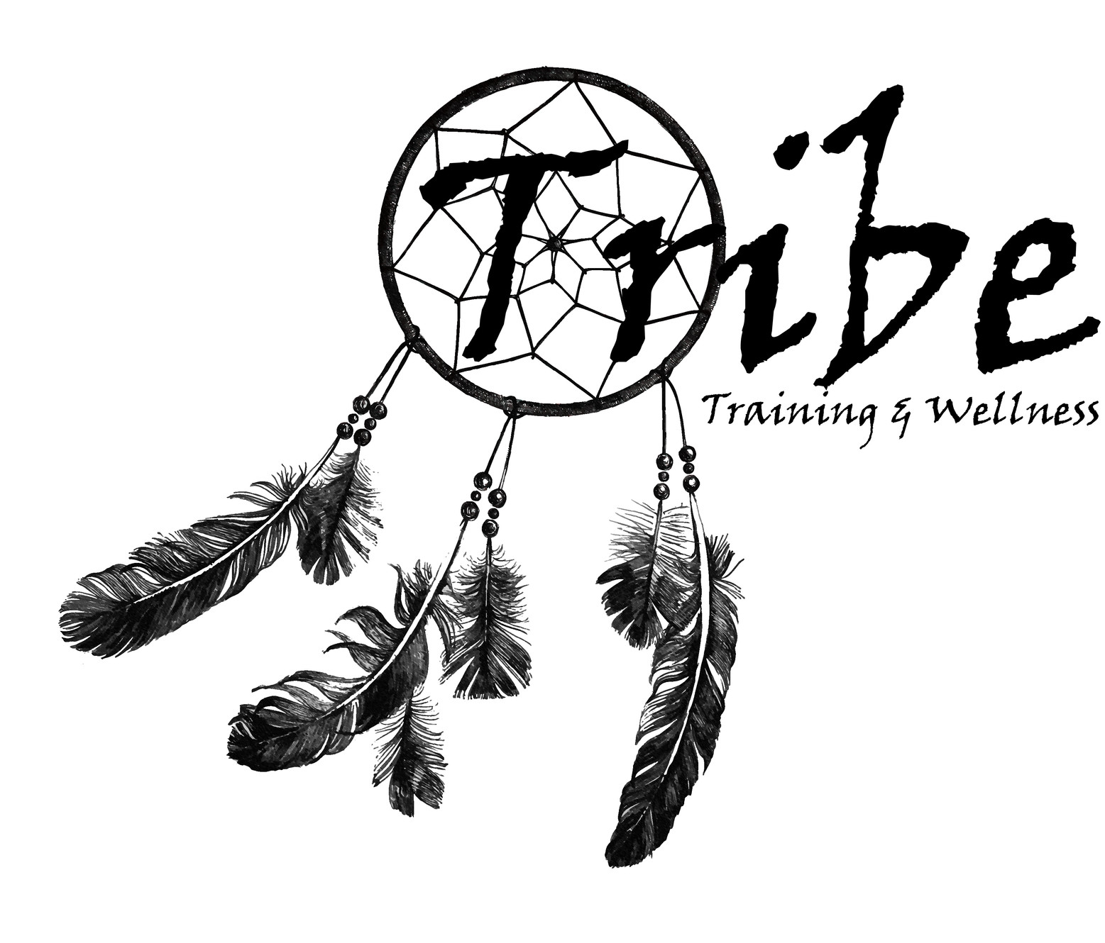www.tribetrainingandwellness.com