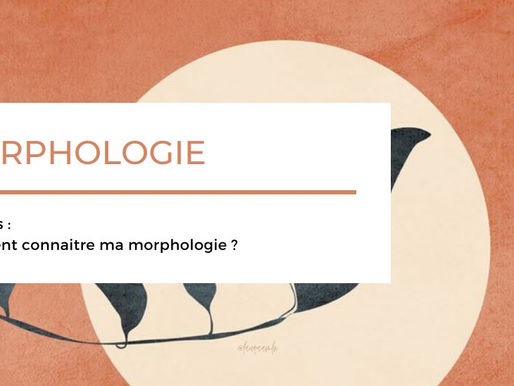 Connaitre son corps - La morphologie en V