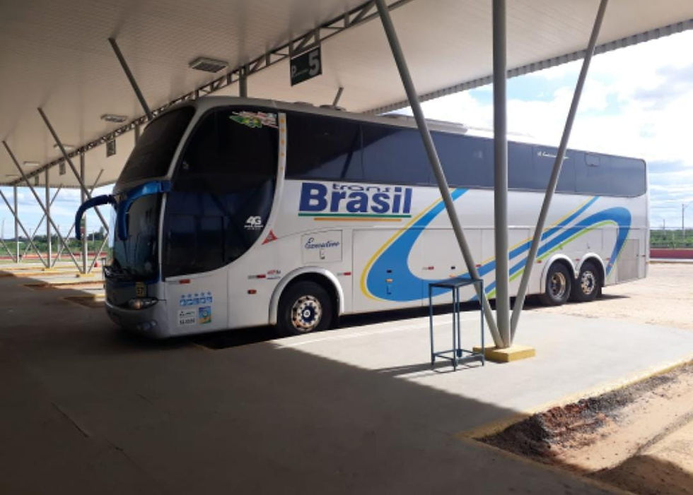 Miniatura: Catedral turismo passagem para São Paulo