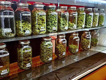 Why Marijuana Store Rules Differ by Location?