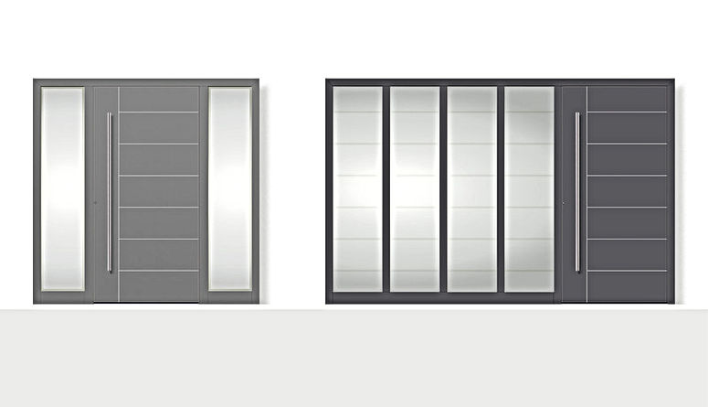 Ensemble vitrage plus porte d entrée