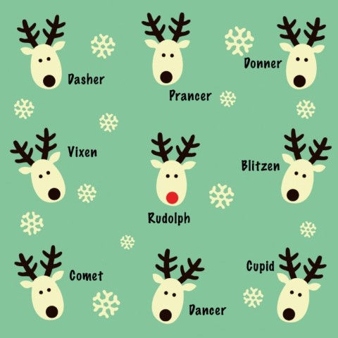 13253 Rudolph & Friends