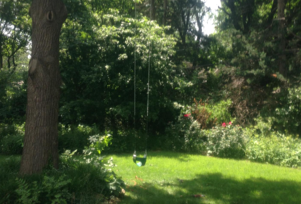 Tree Swing