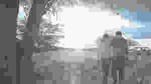 Imagem do tumblr Barnabé...