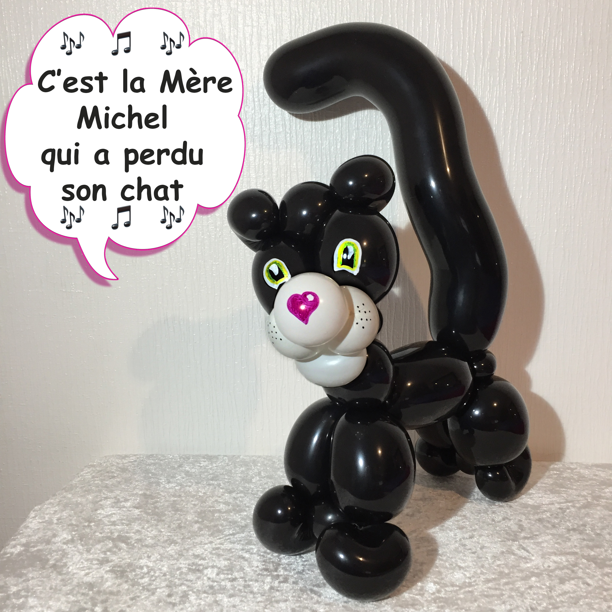 IMG_1599 Jumbo cat texte