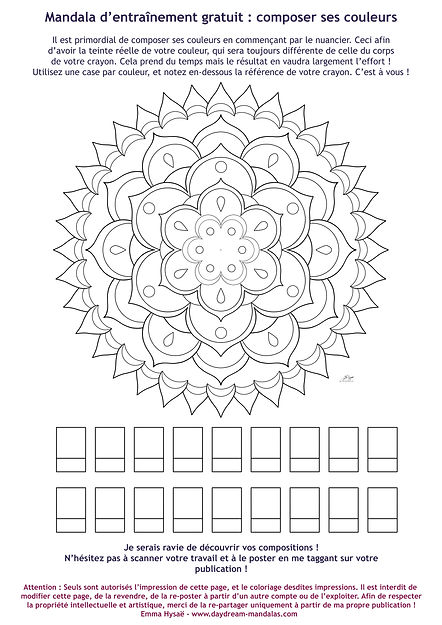 Free Practice Pattern avec nuancier_CSP 32 JPG.jpg