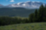 Loaf Mountain Overlook in the Bighorn National Forest of Wyoming along the Cloud Peak Skyw