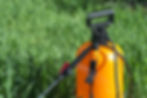 AdobeStock_296993962.jpeg