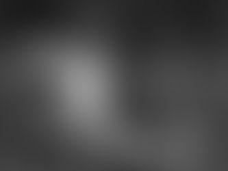 The Science Behind Falling in Love