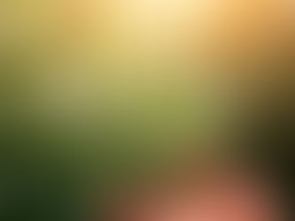 The Untold Truths about Marijuanna