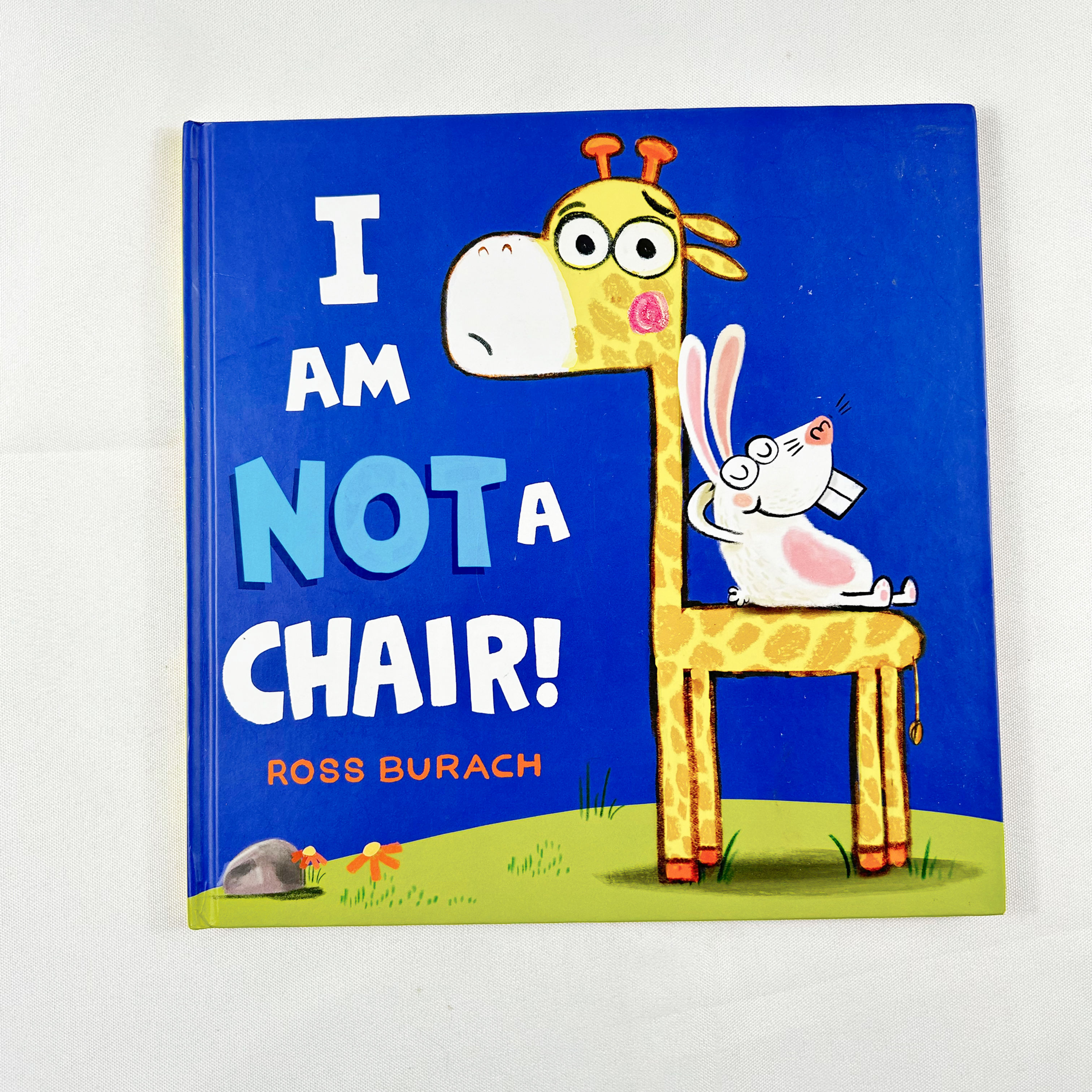 I Am Not A Chair! By Ross Burach