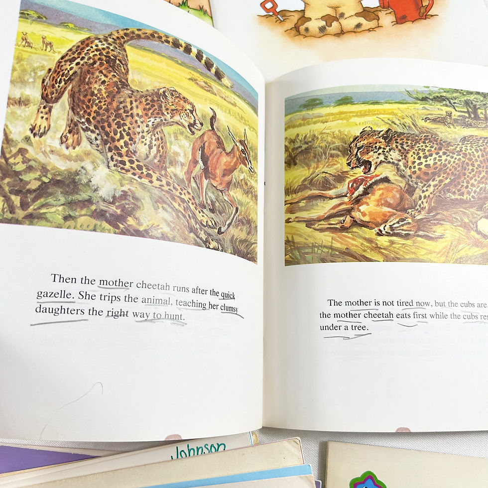 Thumbnail: (13) Vintage Picture books