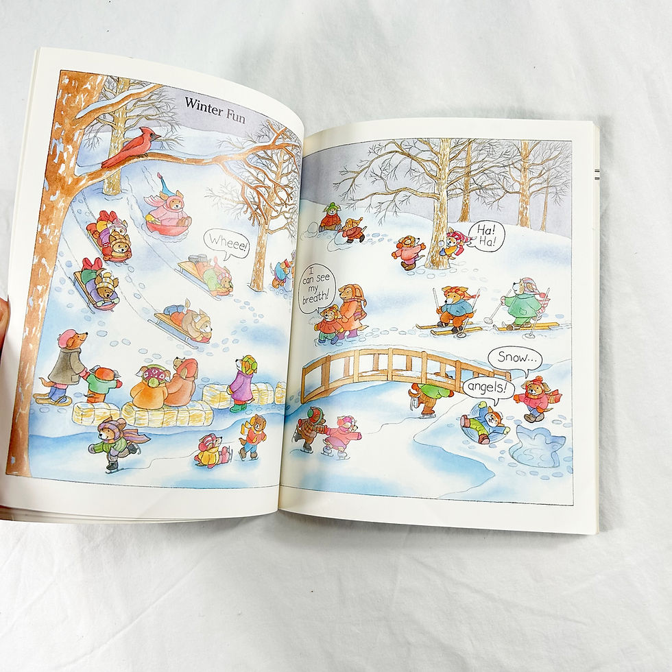 Thumbnail: Wintertime By Ann Schweninger