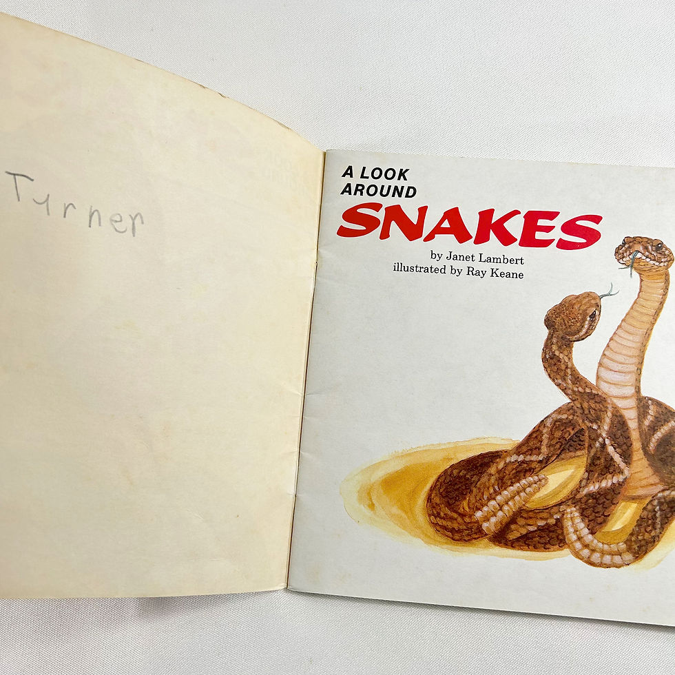 Thumbnail: A Look Around Snakes By Janet Lambert