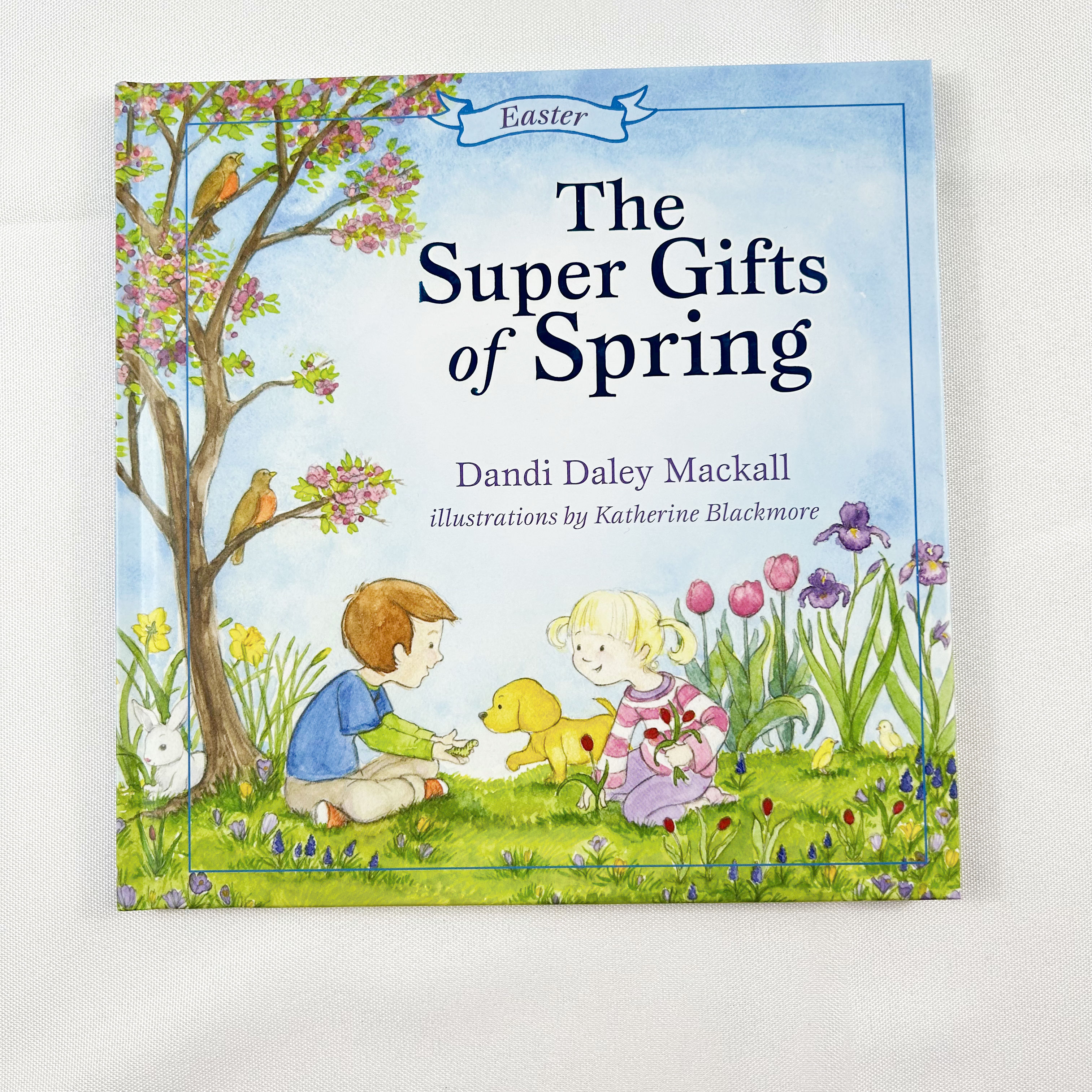 The Super Gifts of Spring By Dandi Daley Mackall, Easter
