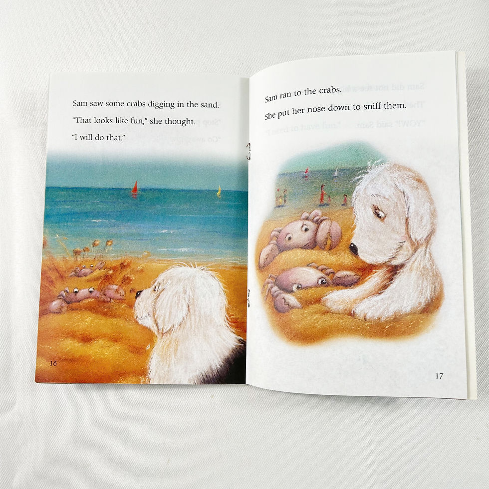Thumbnail: (Level 1) Sam at the Beach By Mary Labatt, Kids Can Read