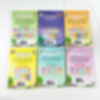 Thumbnail: (6) Fairy Animals By Misty Wood