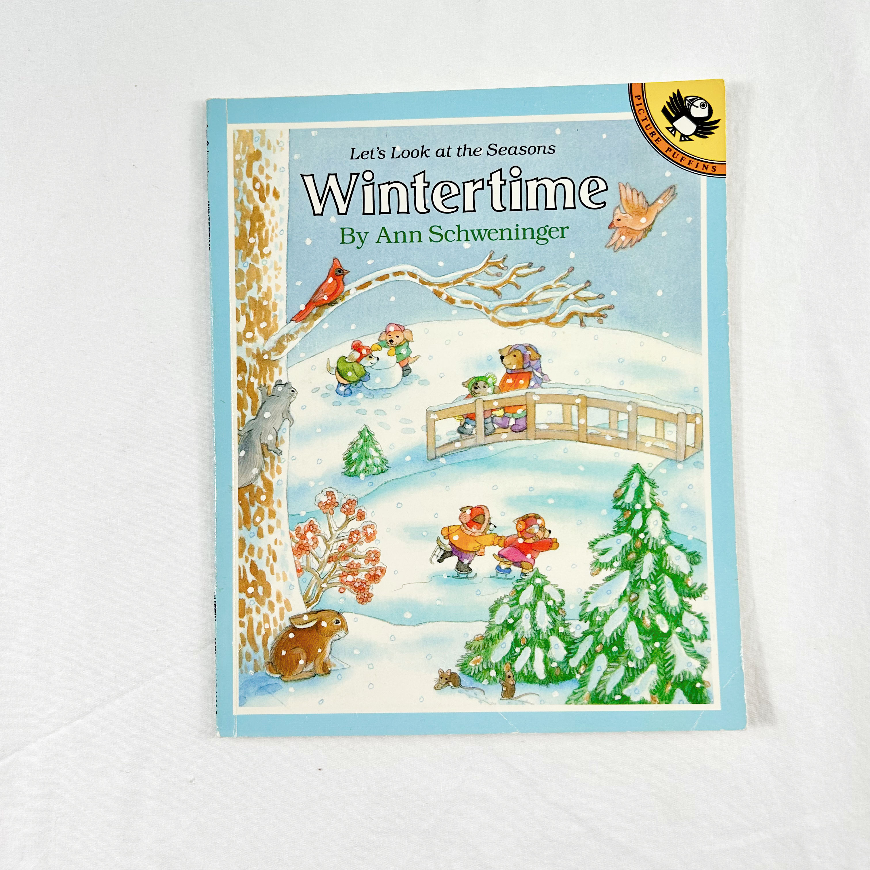 Wintertime By Ann Schweninger