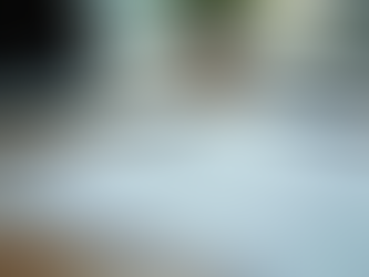 Optimize Your HR with Professional Audit Services