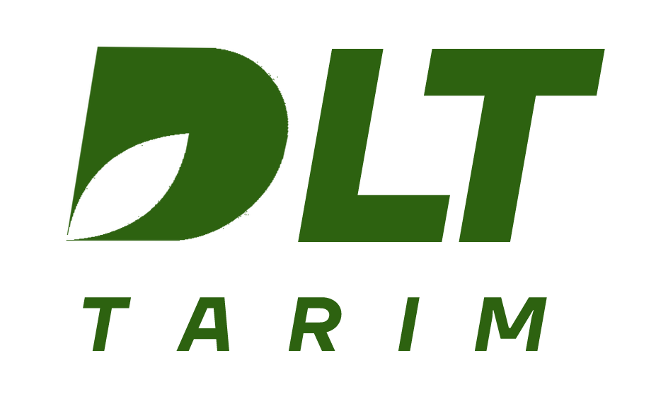 dltt.png