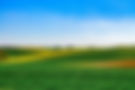 pexels-carl-wyatt-654792-2237485.jpg